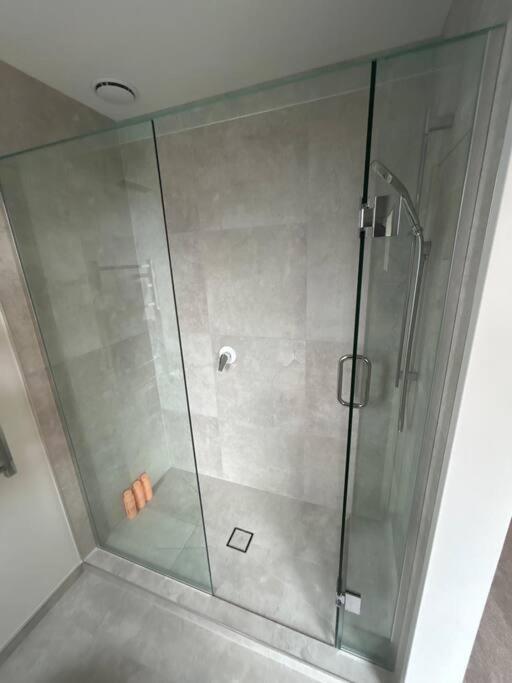 Luxury 2 Bedroom Hideout Near Cbd,Merivale Mall Christchurch Exteriör bild